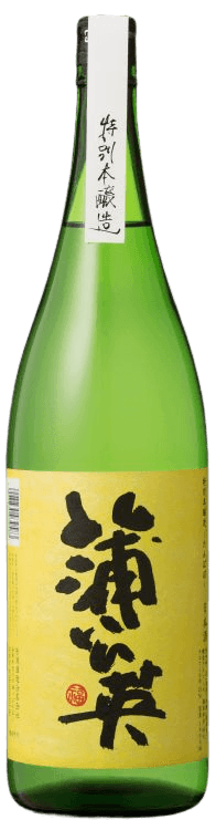 Special designation dandelion