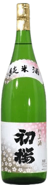 First Cherry Blossom Junmai