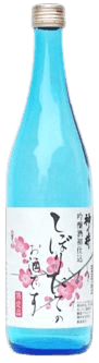 Ginjo Carefully Brewed Sake