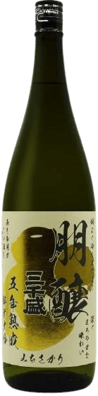 Michisakari Houjou