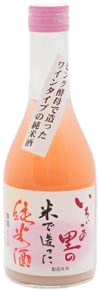 Junmai sake made with Nosato rice from Ichigo