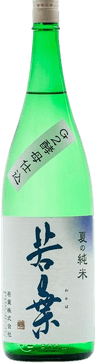 Wakaba Natsuno Junmai