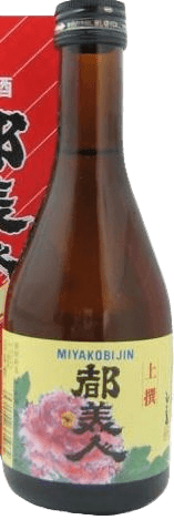 Jousen