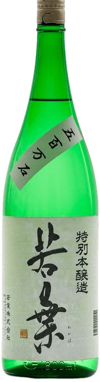 Wakaba Special Honjozo