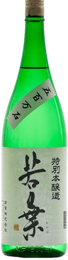 Wakaba Special Honjozo