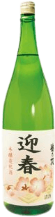 Honjozo Iwai Sake Geishun Label