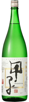 Kinoene Ginjo Karakuchi Dry