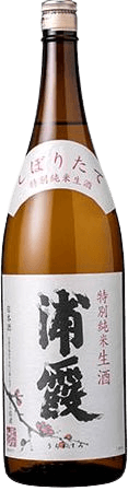Freshly squeezed special Junmai Namazake Urakasumi