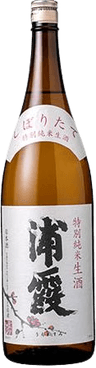 Freshly squeezed special Junmai Namazake Urakasumi
