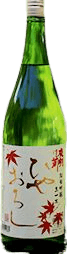 Kiippon Hiyaoroshi
