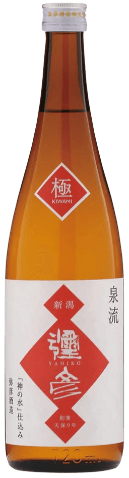 Izumiryu Yahiko Kiwami
