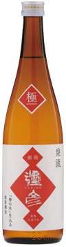 Izumiryu Yahiko Kiwami
