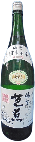 Special Junmai