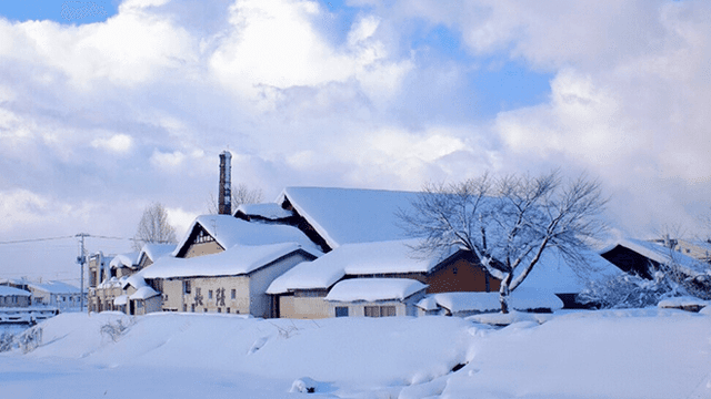 Aoi Brewery Company