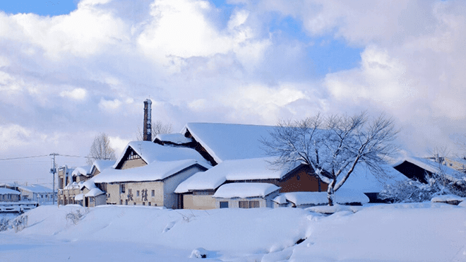 Aoi Brewery Company