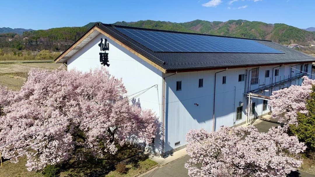 Senjo Brewery Company