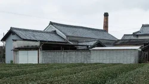 Yasui Brewery Company