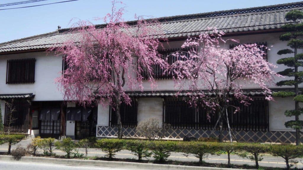 Kitsukura Brewery Company