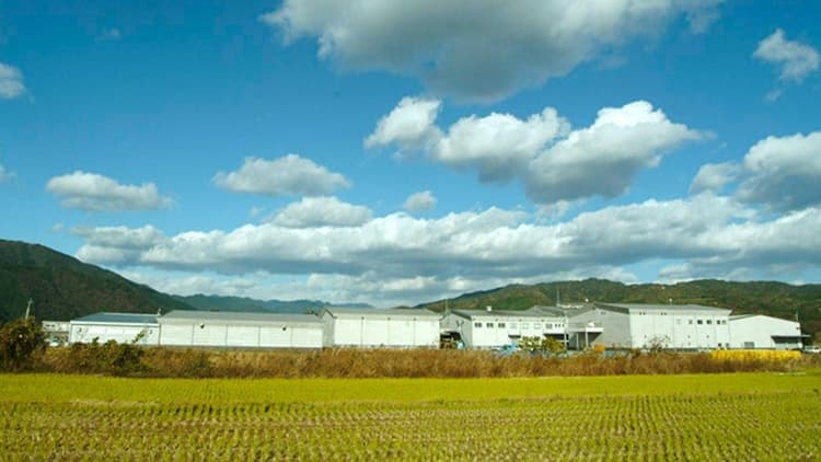 Tosatsuru Brewery Company