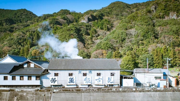 Baba Brewery Company