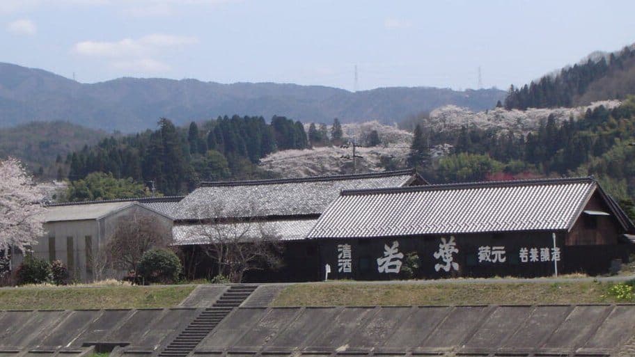 Wakaba Brewery Company