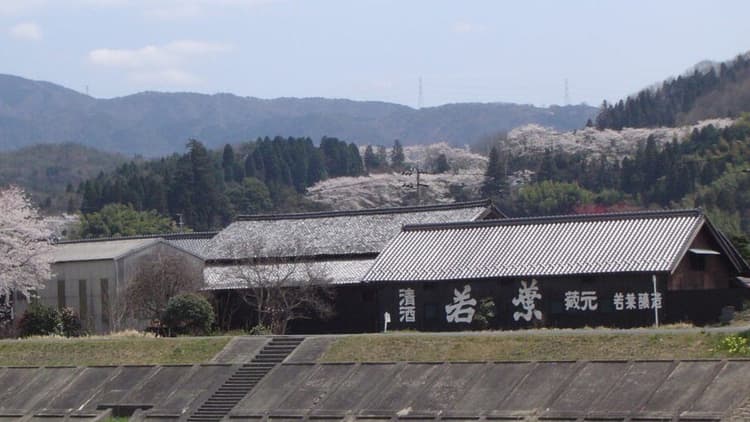 Wakaba Brewery Company