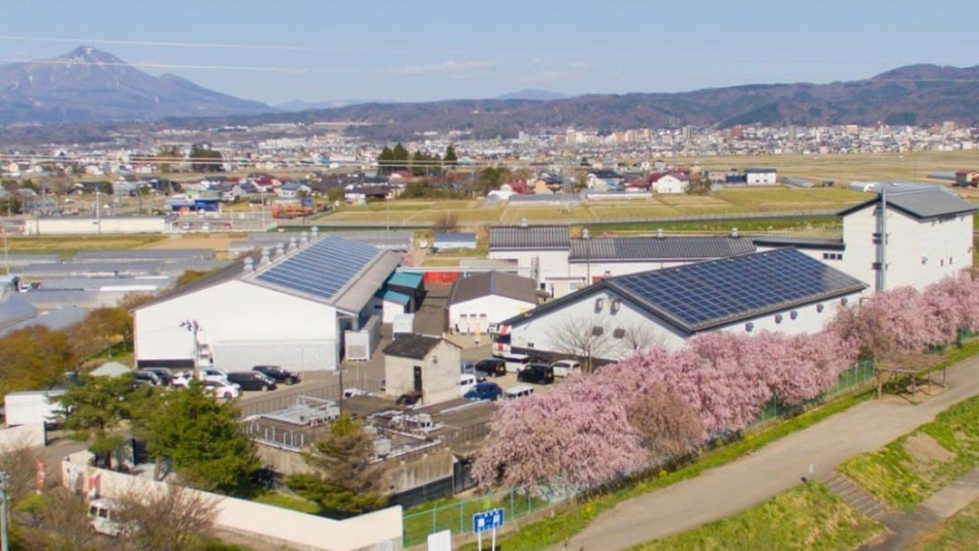 Hanaharu Shuzo Brewery Company