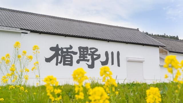 Tatenokawa Brewery Company