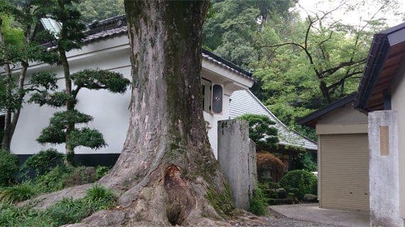 Oyatakashi Brewery Company