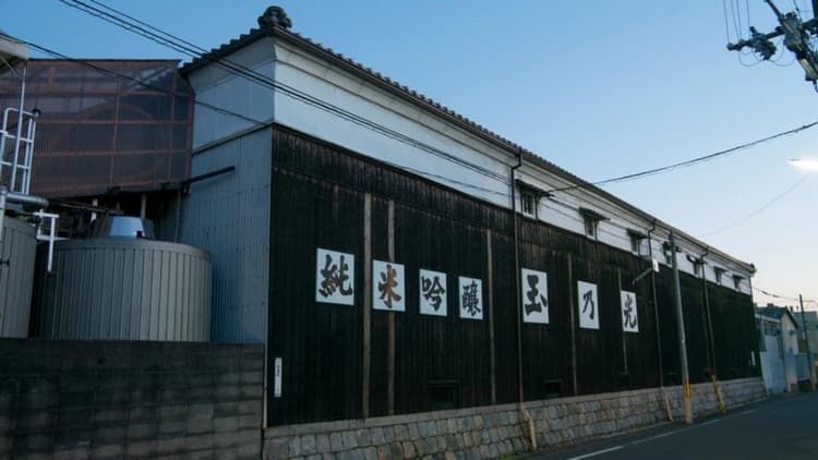 Tamanohikari Brewery Company